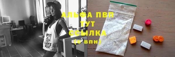 гидра Алексин