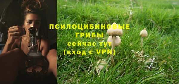 стафф Алзамай